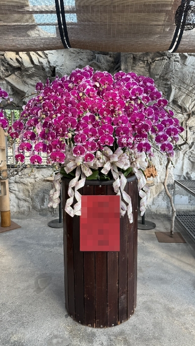 桃紅色系30株實木質感立地大型一座