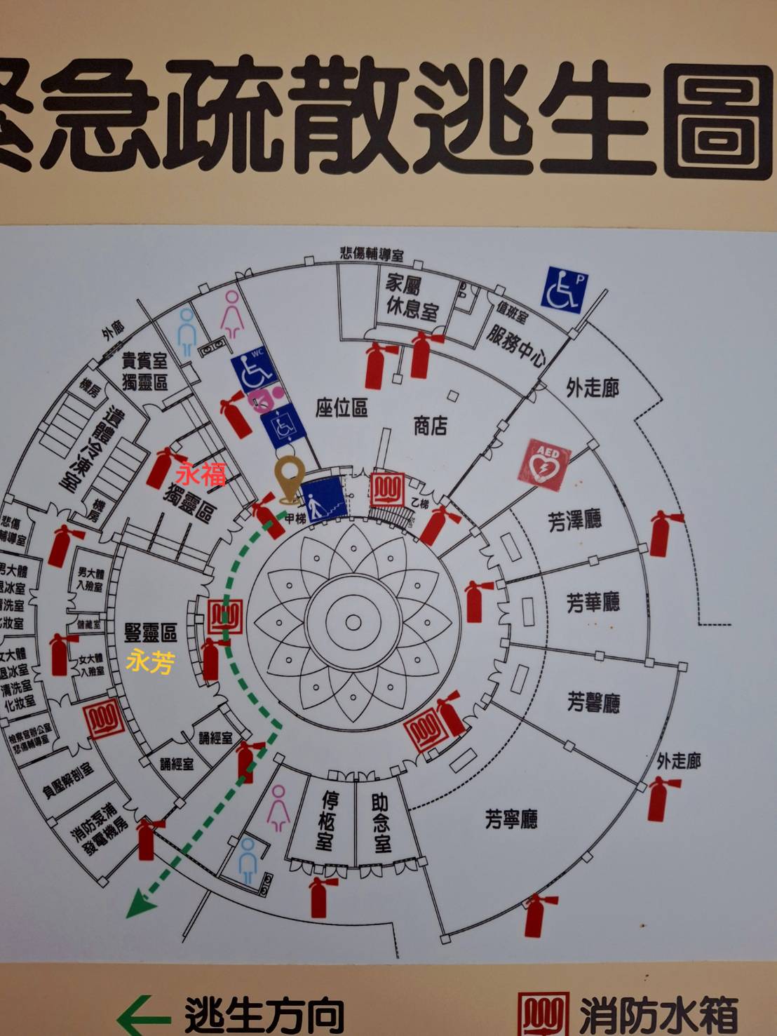 雅楓花店追思蘭花盆栽製作與配送細節 GB2430