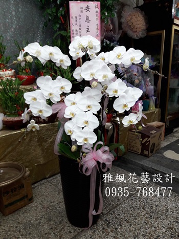 草屯鎮花店追思蘭花盆栽鹿谷鄉花店