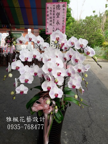 彰化花店，追思蘭花盆栽彰化縣埔心鄉花店