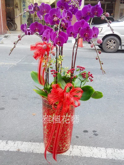 大埤花店_彰化花店喜事蘭花盆栽_雅楓花藝設計