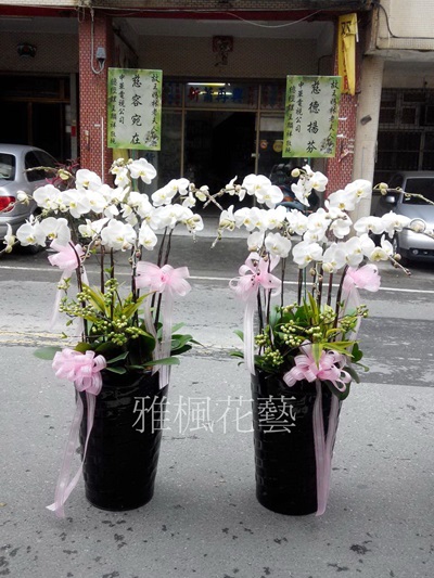 東勢花店_雅楓花藝設計_彰化花店送殯儀館蘭花員林花店