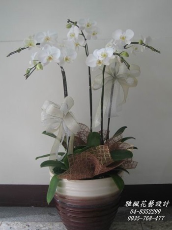 南投縣信義鄉花店，喪禮蘭花南投縣仁愛鄉花店，南投縣中寮鄉花店送蘭花盆栽到喪家