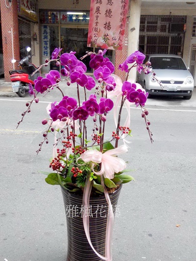 麥寮花店朋友母親過世送蘭花盆栽，東勢花店，褒忠花店