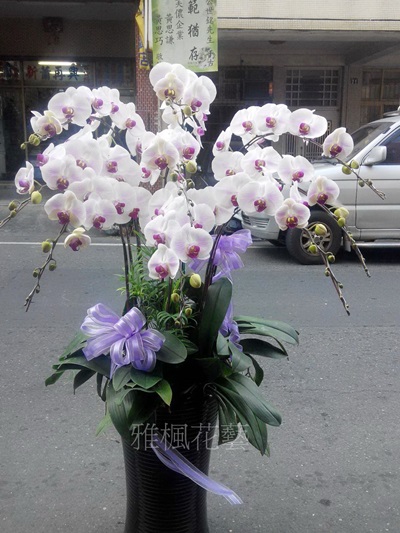 秀水花店，埔鹽花店，