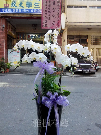 田中花店，