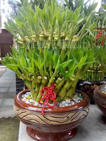 秀水花店，埔鹽花店，彰化市花店