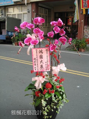 芬園鄉花店，伸港鄉花店，溪湖鎮花店親戚開店送蘭花盆栽祝賀