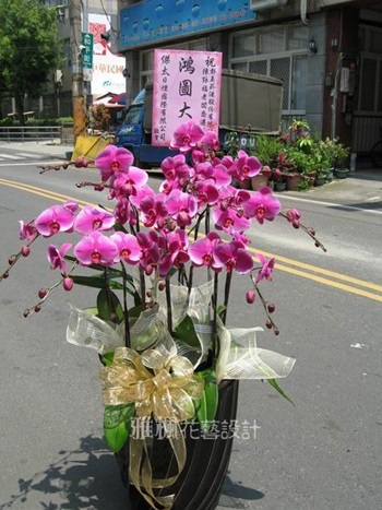 神明聖誕送蘭花盆栽彰化市花店，埤頭鄉花店，鹿港鎮花店