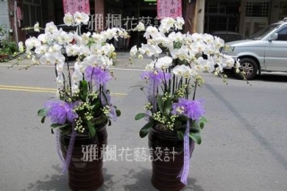 集集鎮花店，鹿谷鄉花店，埔里鎮花店送喪事場合白色蝴蝶蘭花盆栽