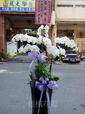 田中花店女友父親過世送蘭花盆栽，雅楓花店，花壇花店