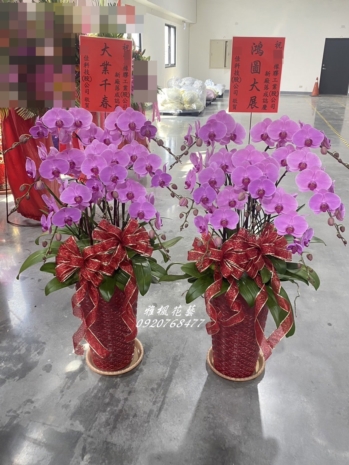 親戚開店送蘭花推薦台中市區花店0920768477雅楓花藝設計