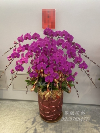 新廠落成蘭花盆栽_彰化花店雅楓花藝