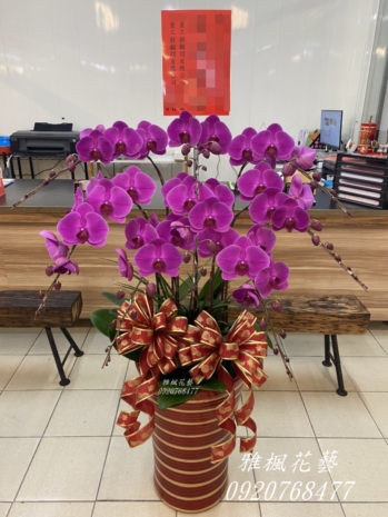 書法展覽蘭花盆栽推薦斗六花店0935768477雅楓花藝設計