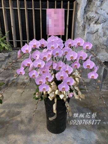 殯儀館蘭花盆栽外送推薦048352299雅楓花店