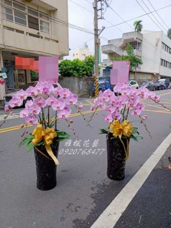 蘭花盆盆栽外送田中鎮第五公墓簡易殯儀館彰化縣田中鎮三安里同安路464號彰化田中殯儀館