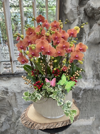 蘭花盆栽外送南投市區