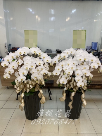 一盆6300元起_特價二盆11500元起_、斗六市文殊寺