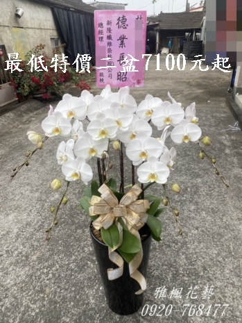 斗六市八德生命園區