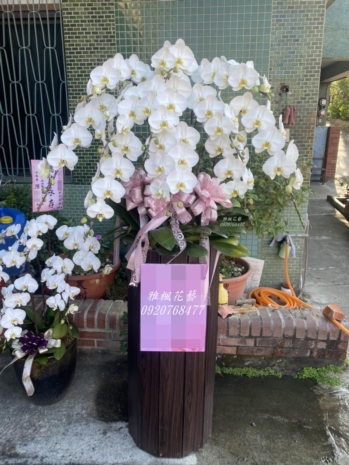 彰化殯儀館追思蘭花盆栽