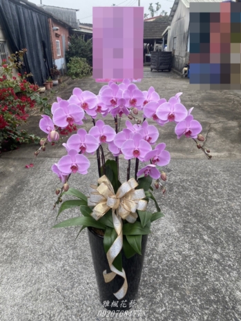 彰化二水鄉殯儀館喪禮蘭花盆栽