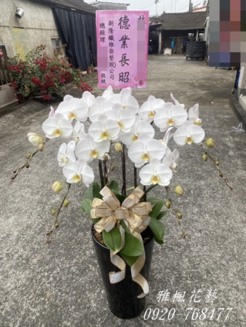 琉璃天境會館台中殯儀館附近