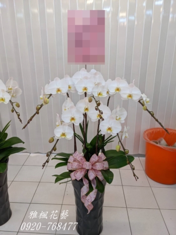 台中大願生命會館送花