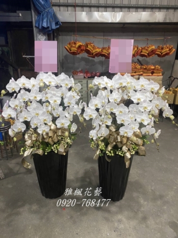 集集鎮花店，鹿谷鄉花店，埔里鎮花店送喪事場合白色蝴蝶蘭花盆栽